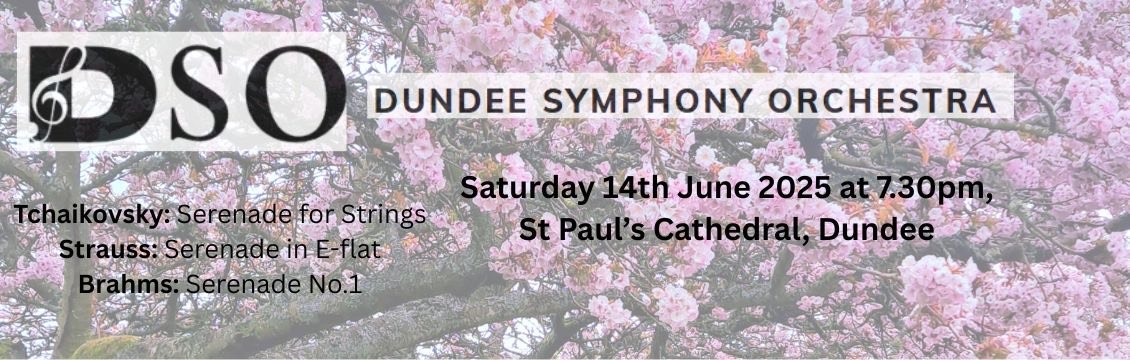 Summer Serenades Concert