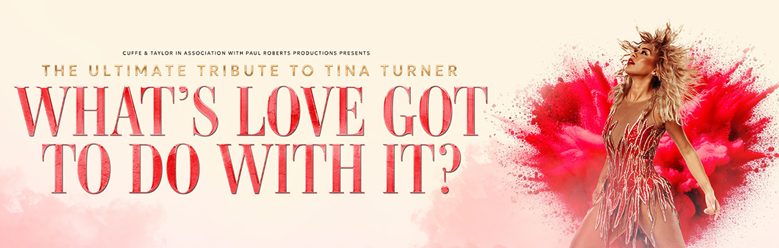 What's Love got to with it? - The Ultimate Tribute to Tina Turner